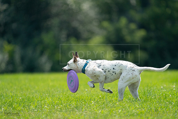 RielVisuals_20240728_140056_SJR07842