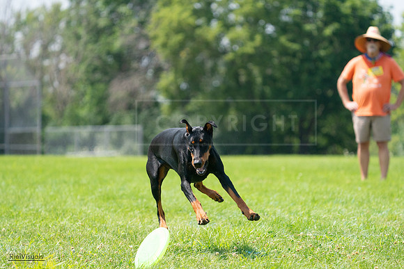 RielVisuals_20240728_122812_SJR03977