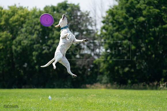 RielVisuals_20240728_133559_SJR06739