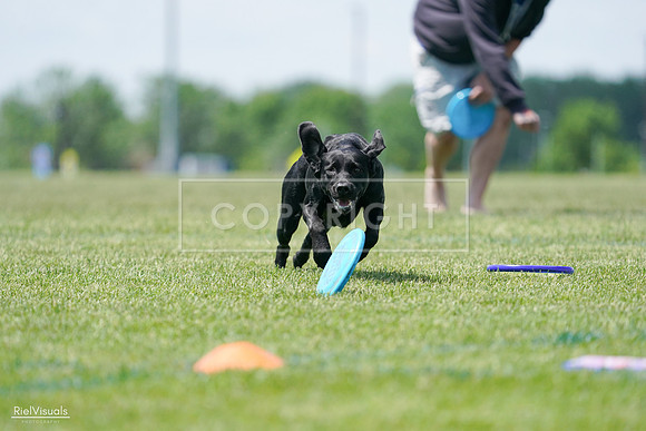 RielVisuals_20240525_121117_SJR09042
