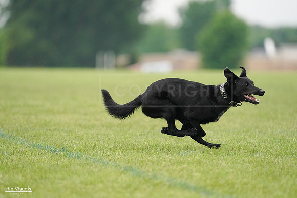 RielVisuals_20240527_110247_SJR02649