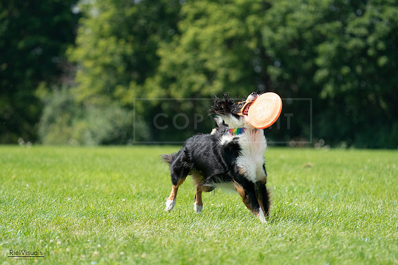 RielVisuals_20240728_121602_SJR03429