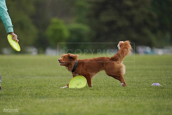 RielVisuals_20240526_093141_SJR00303