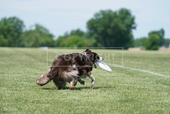 RielVisuals_20240525_120017_SJR08265
