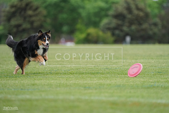 RielVisuals_20240525_171349_SJR06519