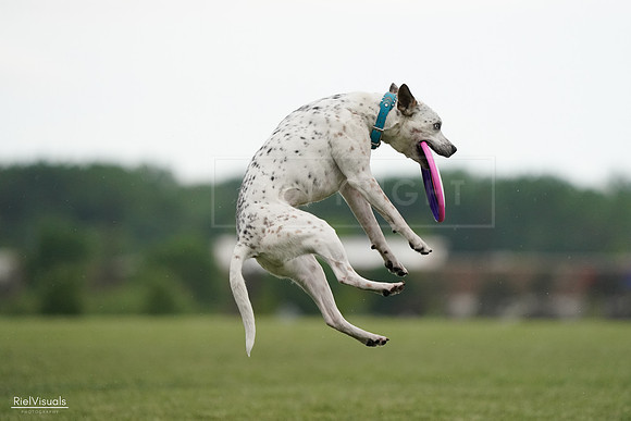 RielVisuals_20240526_090742_SJR09122