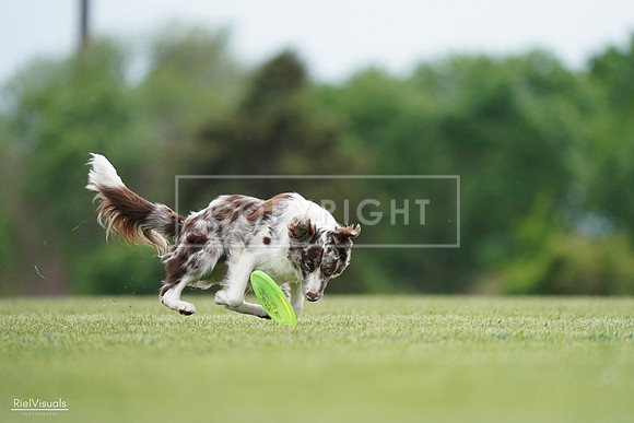 RielVisuals_20240525_161039_SJR03650