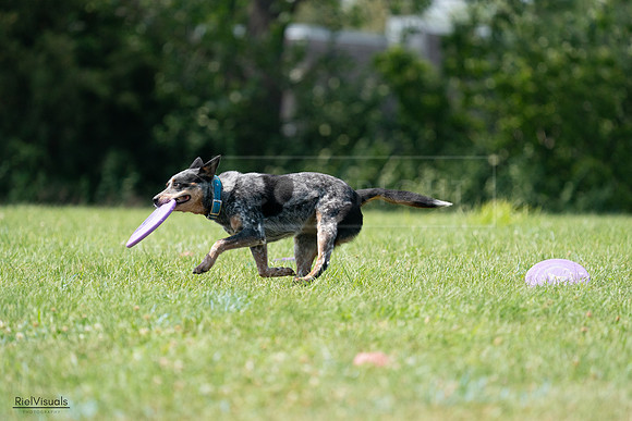 RielVisuals_20240728_145228_SJR09460