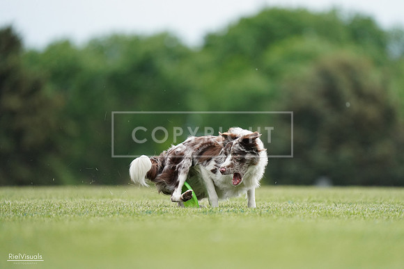 RielVisuals_20240525_161039_SJR03655