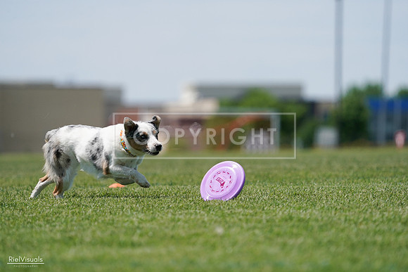 RielVisuals_20240525_121529_SJR09205