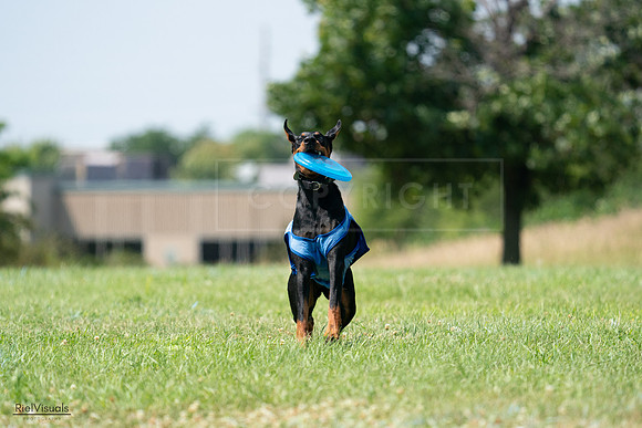 RielVisuals_20240728_145907_SJR09796