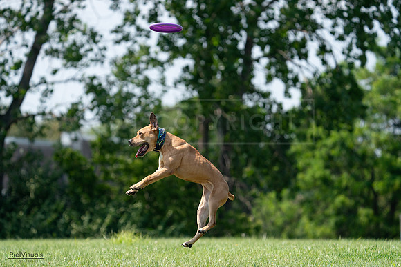 RielVisuals_20240728_150757_SJR00174