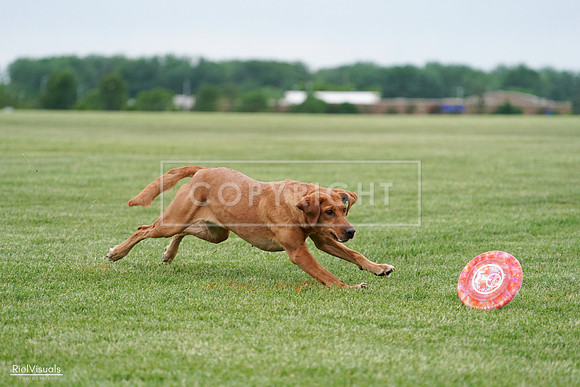 RielVisuals_20240525_165901_SJR05752