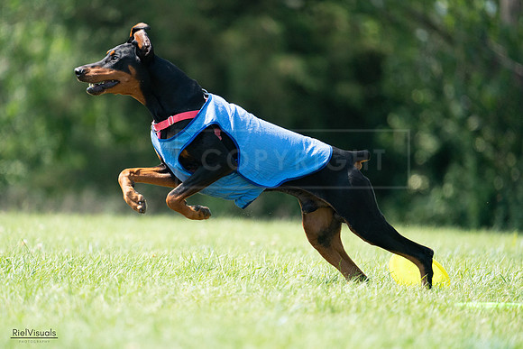RielVisuals_20240728_151318_SJR00327