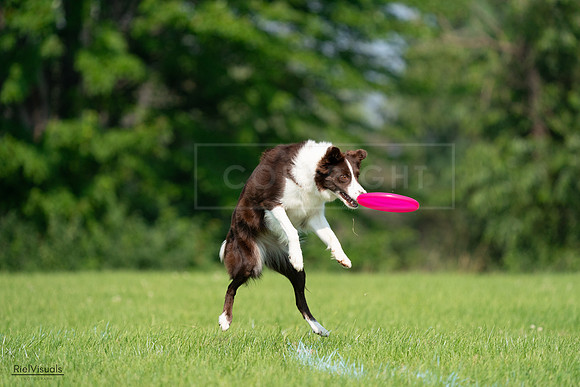 RielVisuals_20240727_095817_SJR08128