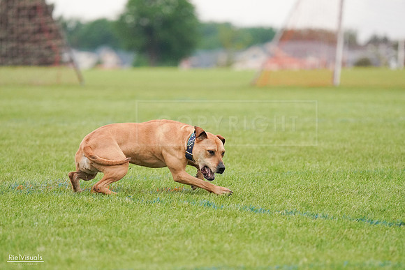 RielVisuals_20240527_111232_SJR03479