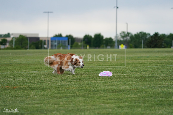 RielVisuals_20240525_170826_SJR06240
