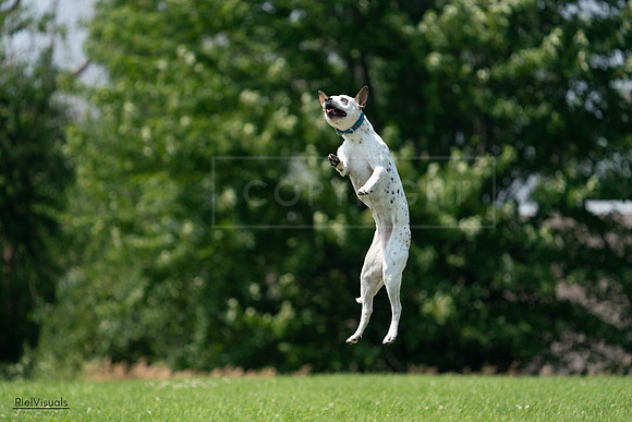 RielVisuals_20240727_134653_SJR08465
