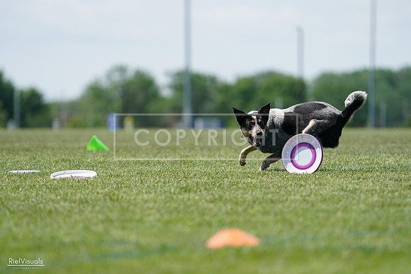 RielVisuals_20240525_122334_SJR09721