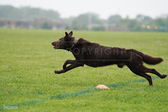 RielVisuals_20240527_100844_SJR09325