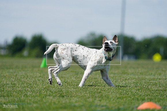 RielVisuals_20240525_120300_SJR08397