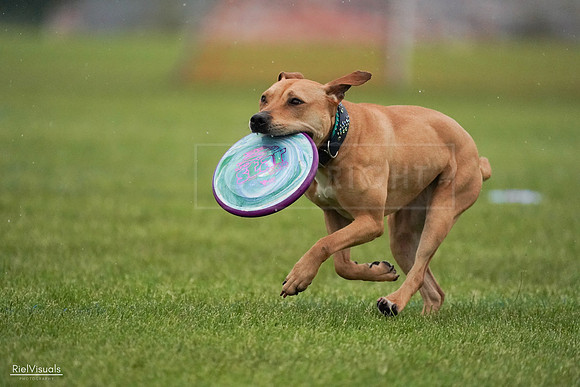 RielVisuals_20240527_094238_SJR08560