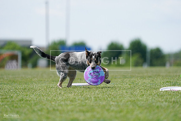 RielVisuals_20240525_122313_SJR09691