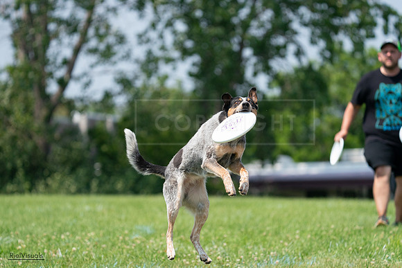 RielVisuals_20240727_133956_SJR07991