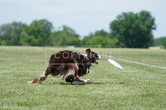 RielVisuals_20240525_120017_SJR08264
