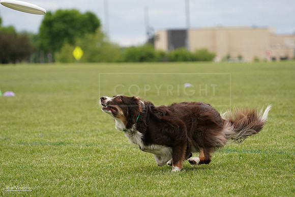 RielVisuals_20240526_140728_SJR09574