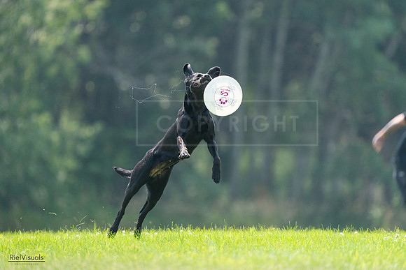 RielVisuals_20240727_121805_SJR05251
