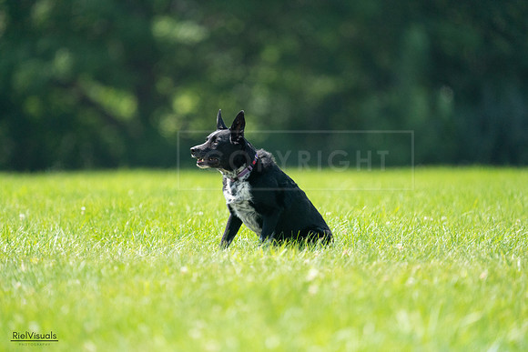 RielVisuals_20240728_115512_SJR02367