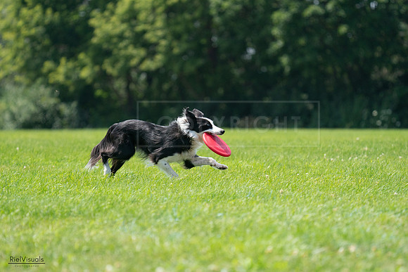 RielVisuals_20240728_130352_SJR04953