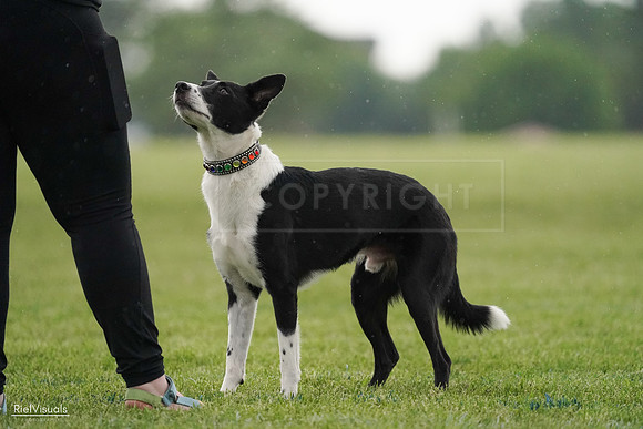 RielVisuals_20240526_093332_SJR00334