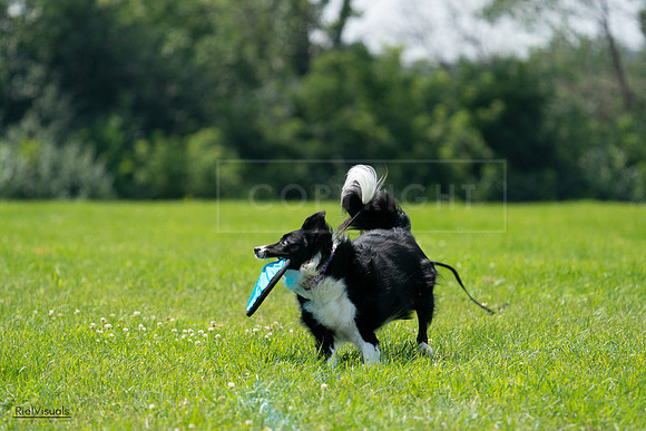 RielVisuals_20240728_124645_SJR04672