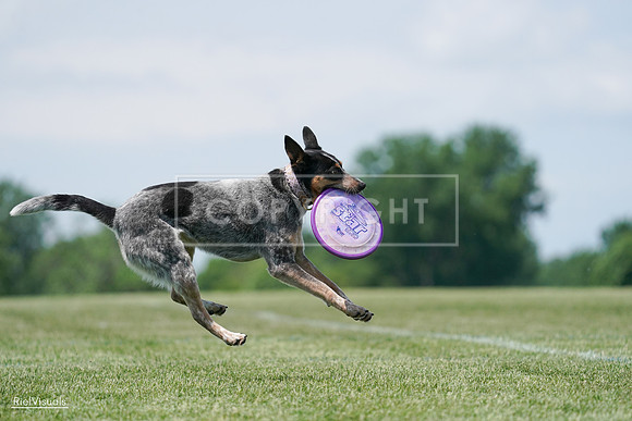 RielVisuals_20240525_122240_SJR09629