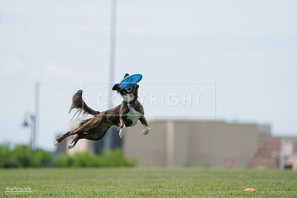 RielVisuals_20240525_124200_SJR00909