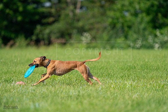 RielVisuals_20240728_102614_SJR08084