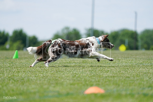 RielVisuals_20240525_120539_SJR08604