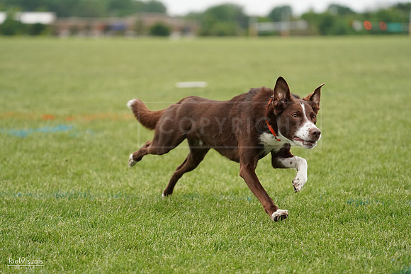 RielVisuals_20240526_131255_SJR07153