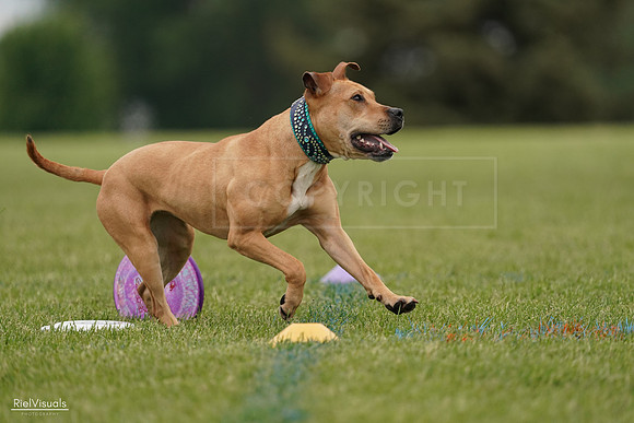 RielVisuals_20240526_135050_SJR09302