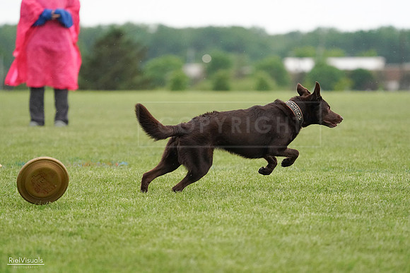 RielVisuals_20240526_090958_SJR09250