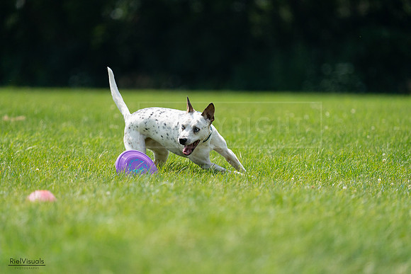 RielVisuals_20240728_140001_SJR07729
