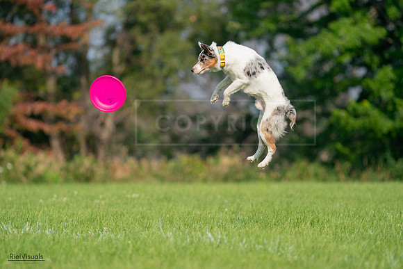 RielVisuals_20240727_092207_SJR05987