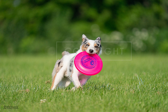 RielVisuals_20240727_092235_SJR06093