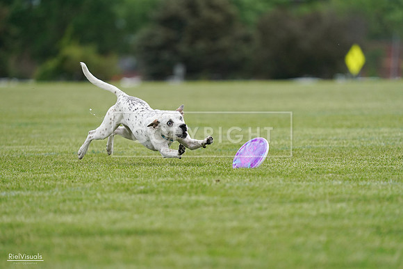 RielVisuals_20240525_160358_SJR03384