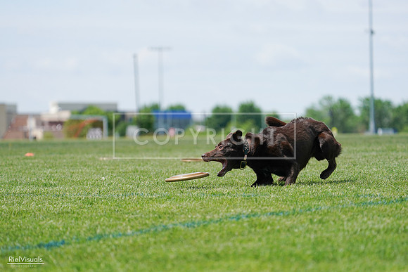 RielVisuals_20240525_120848_SJR08898