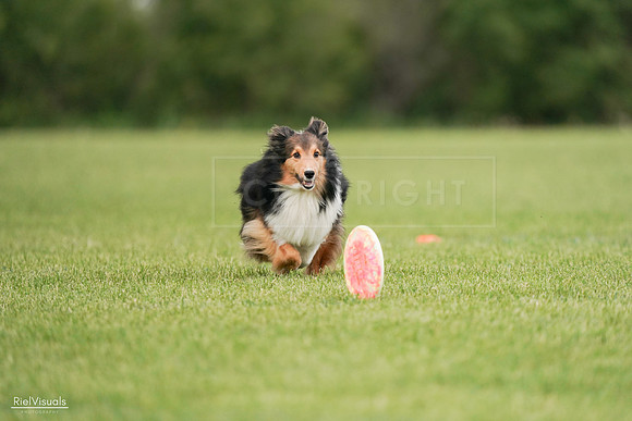 RielVisuals_20240527_140925_SJR01639