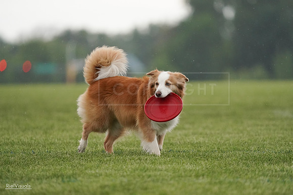 RielVisuals_20240526_094013_SJR00708