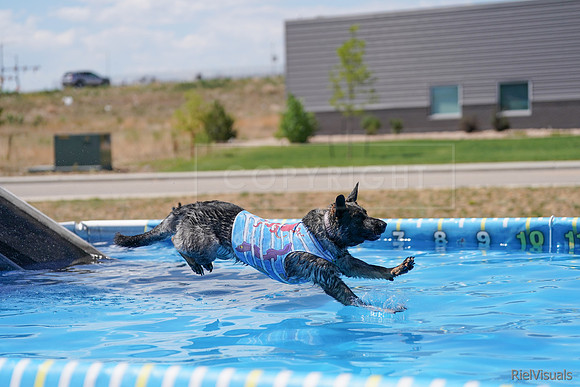 SJR00973